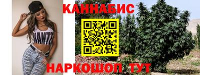мдпв Пугачёв