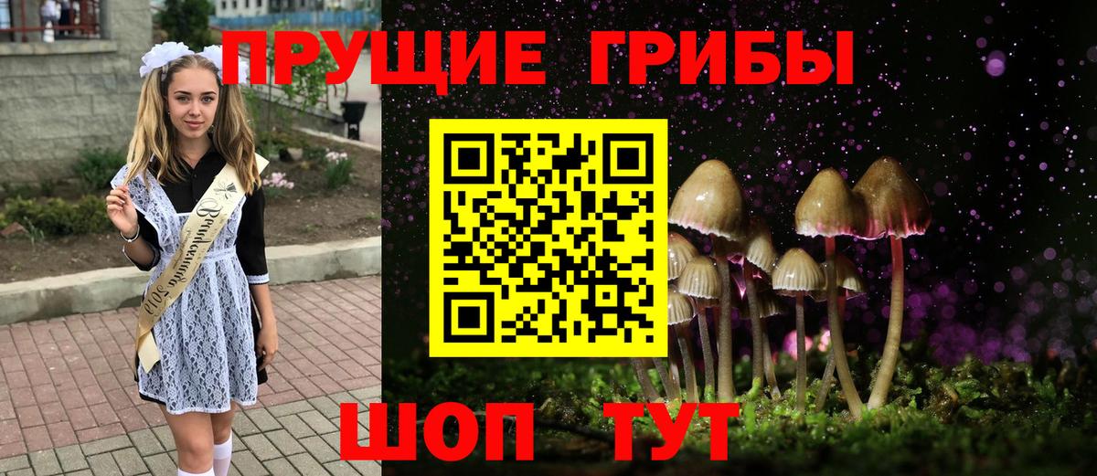 Галлюциногенные грибы мухоморы  где можно купить   Галлюциногенные грибы прущие грибы  Новочеркасск  Вход с VPN 